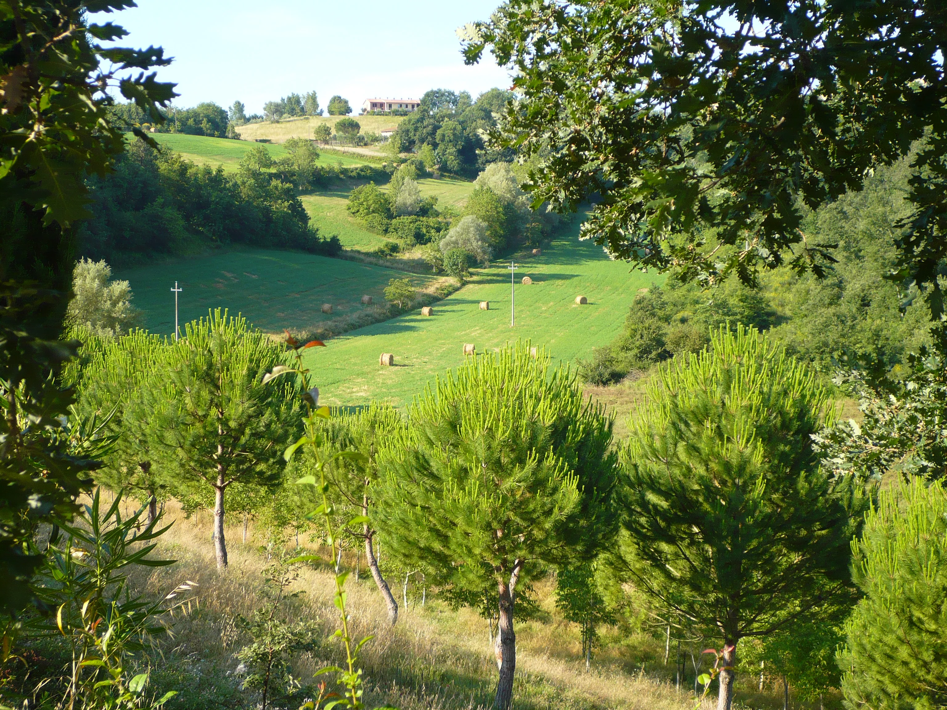 Tuscan Landscape 2
