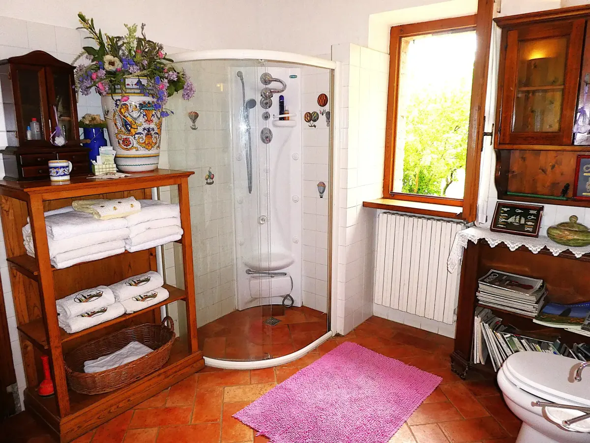 Salle de bains avec douche et meubles en bois
