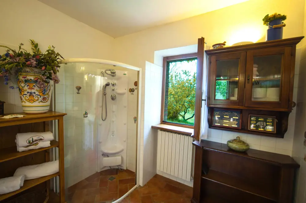 Salle de bains avec douche et vitrine