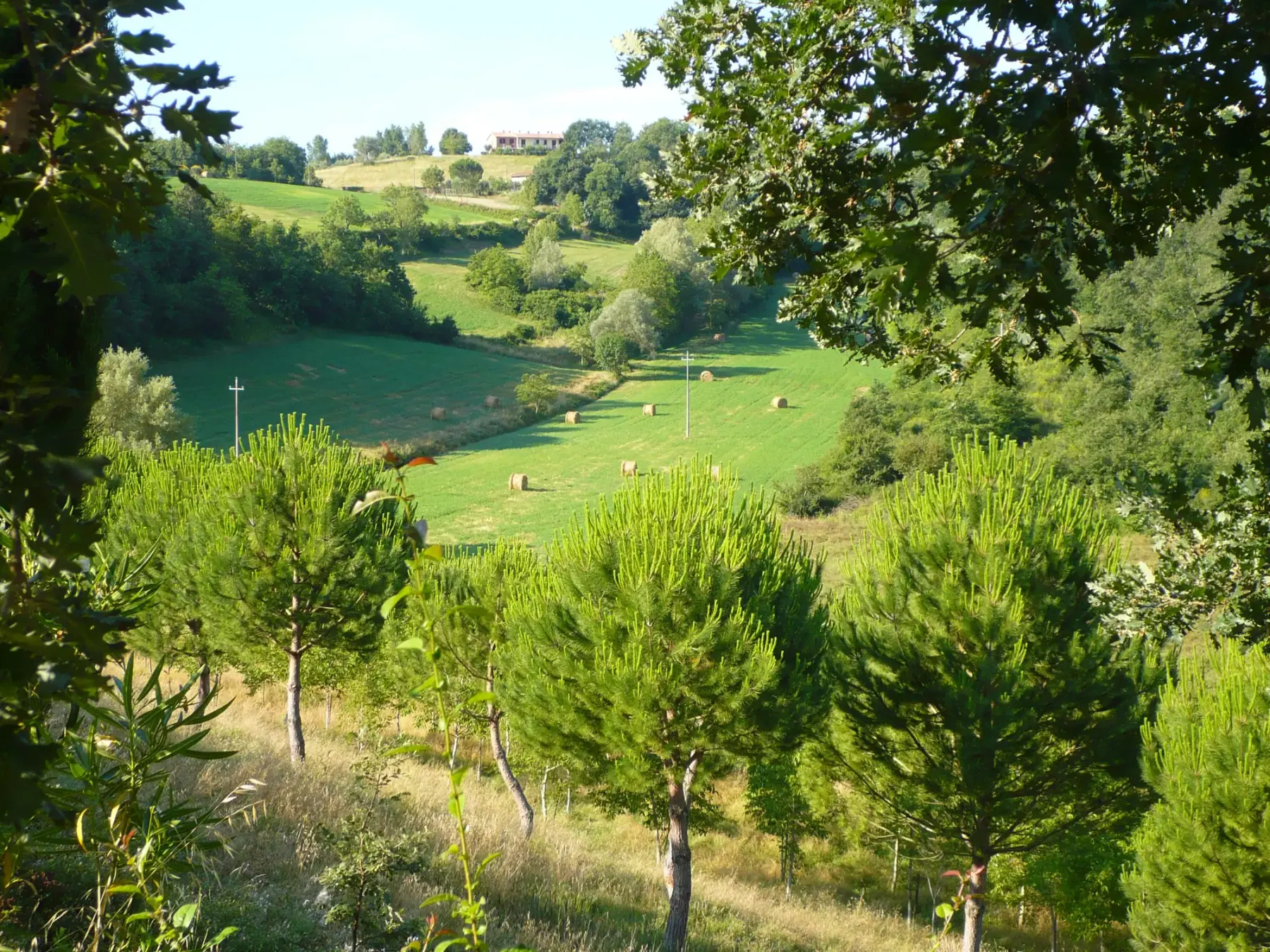 Collines, prairie et parc privé de deux hectares de la Villa Sionne